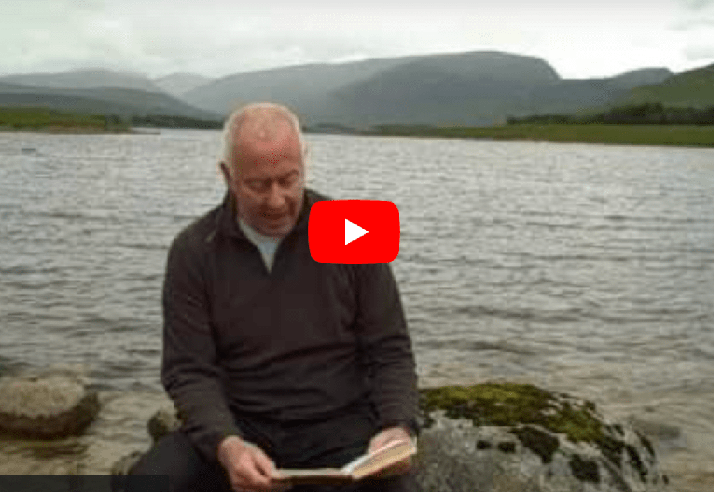 READING IN THE WILD 14: this is no way for two friends to take a small&nbsp;accident